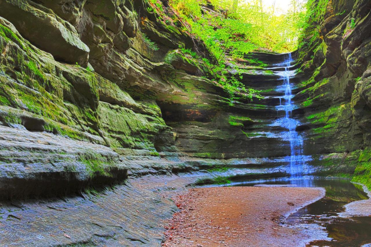 Starved Rock & Ottawa Retreat Amazing Getaway Home Ngoại thất bức ảnh